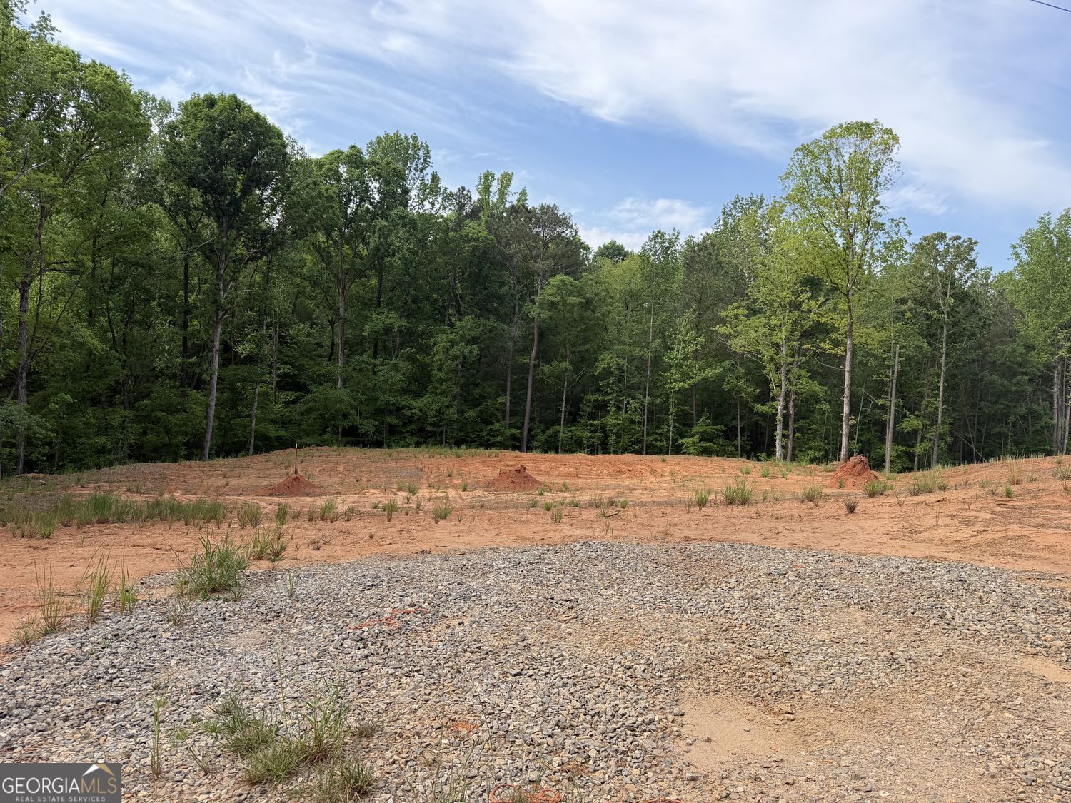 1476 English Road Forsyth, GA 31029 - Photo 3 of 3 Gallery Image 3
