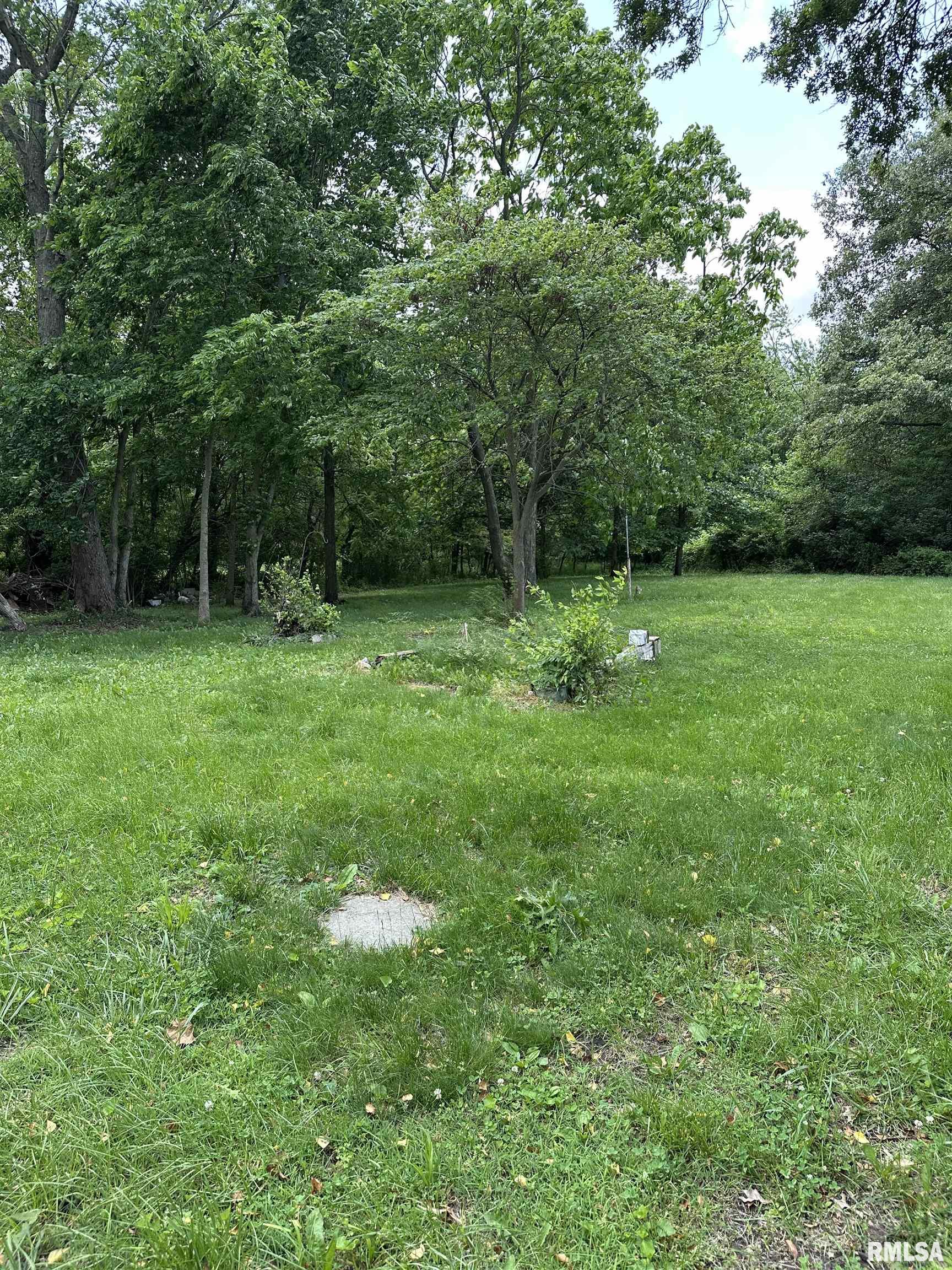 1480 Hemlock Road Du Quoin, IL 62832 - Photo 3 of 22 Gallery Image 3