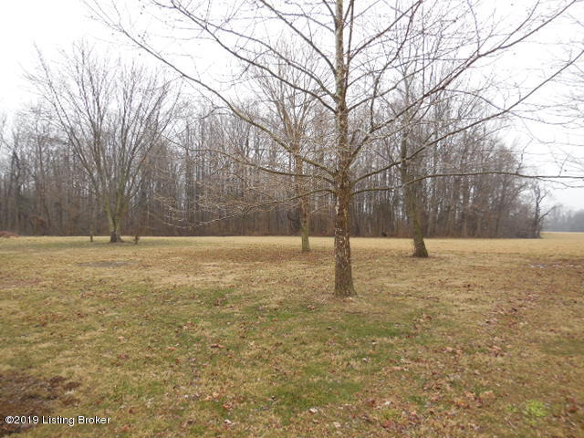 112 Barnyard Road Milton, KY 40045 - Photo 4 of 25 Rear yard1