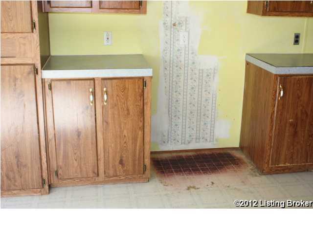 689 Woosley Road Caneyville, KY 42721 - Photo 4 of 13 Additional Photo