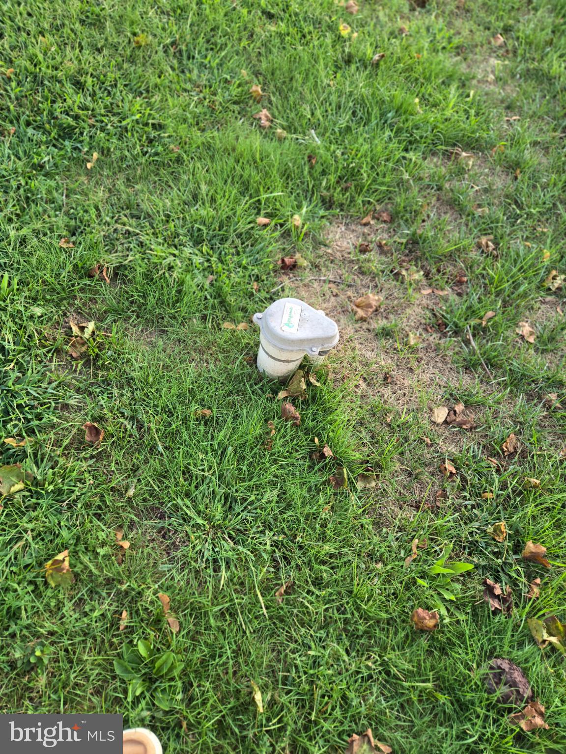14198 Union Street Milton, DE 19968 - Photo 41 of 49 Sprinkler head peeking through lush grass.