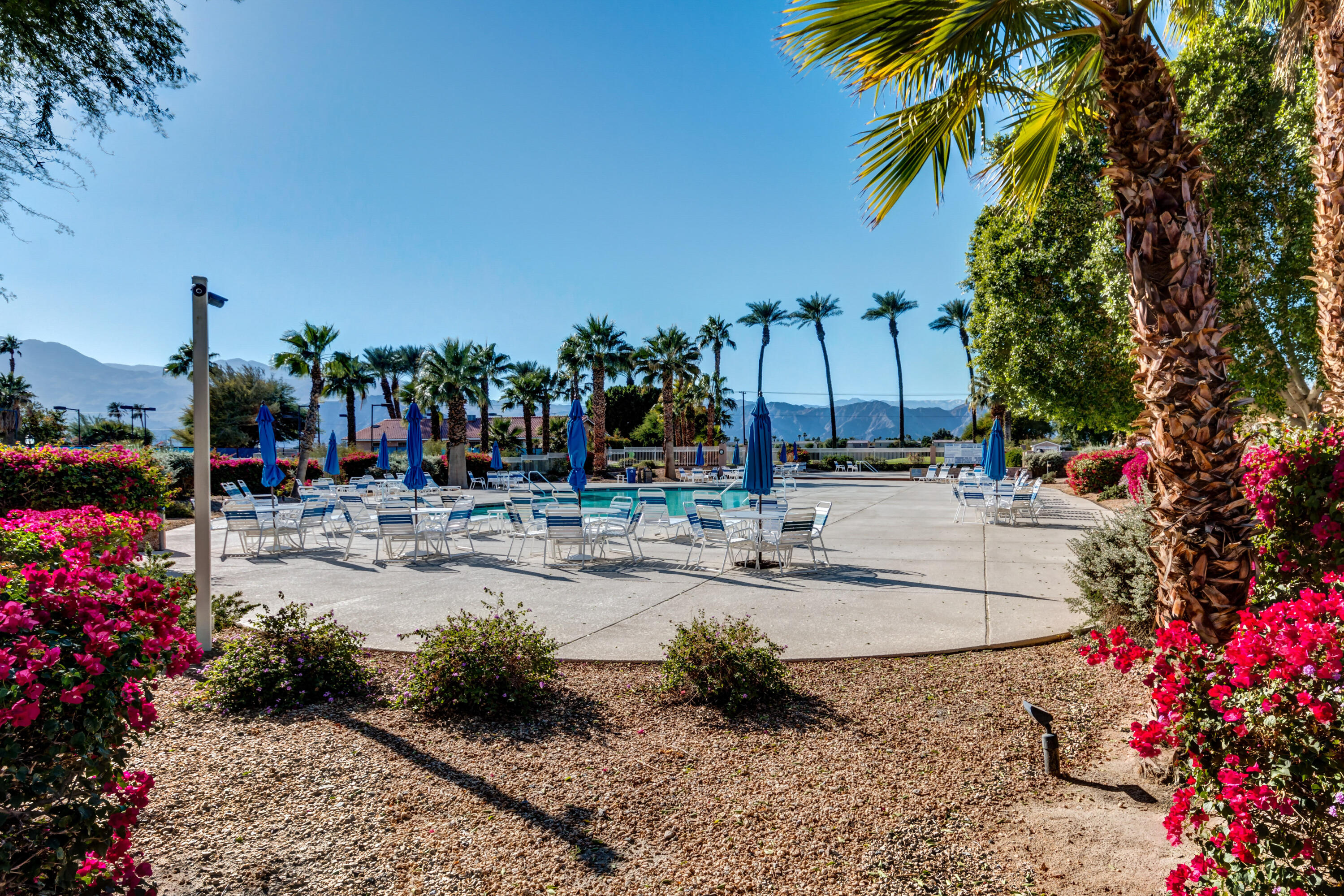 82567 Ave 48, Unit 103 Indio, CA 92201 - Photo 17 of 26 a view of a park with palm trees