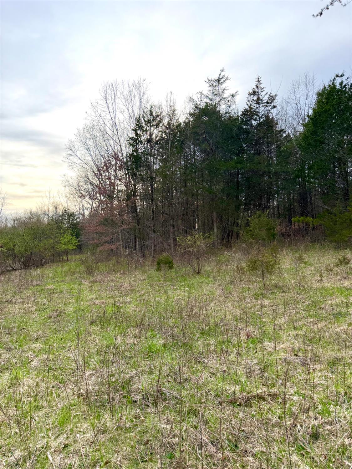 1600 Magee Jones Road Peebles, OH 45660 - Photo 69 of 91