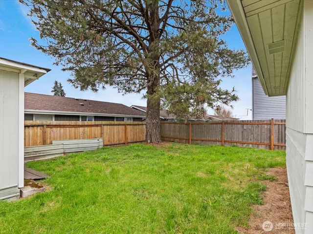 a view of a backyard with a garden and tree