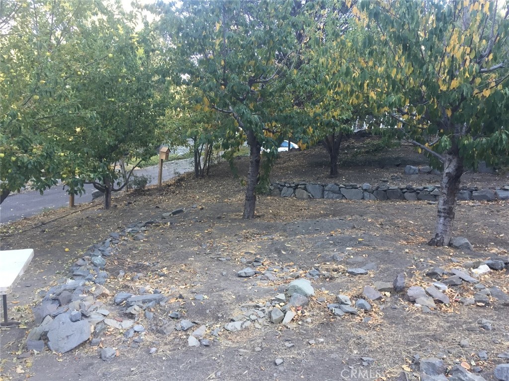1792 Ash Road Wrightwood, CA 92397 - Photo 3 of 51 a view of a forest with trees in the background