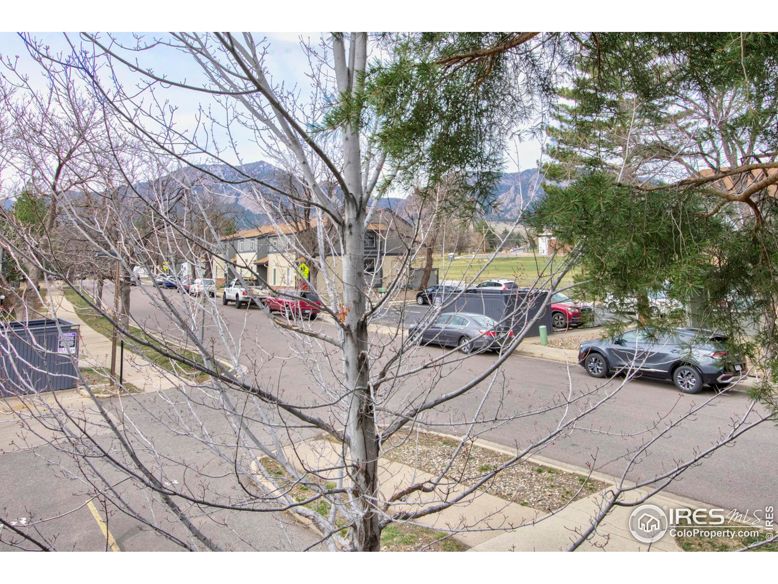 750 West Moorhead Circle, Unit A Boulder, CO 80305 - Photo 17 of 38 a view of backyard with a table and chairs and a large tree