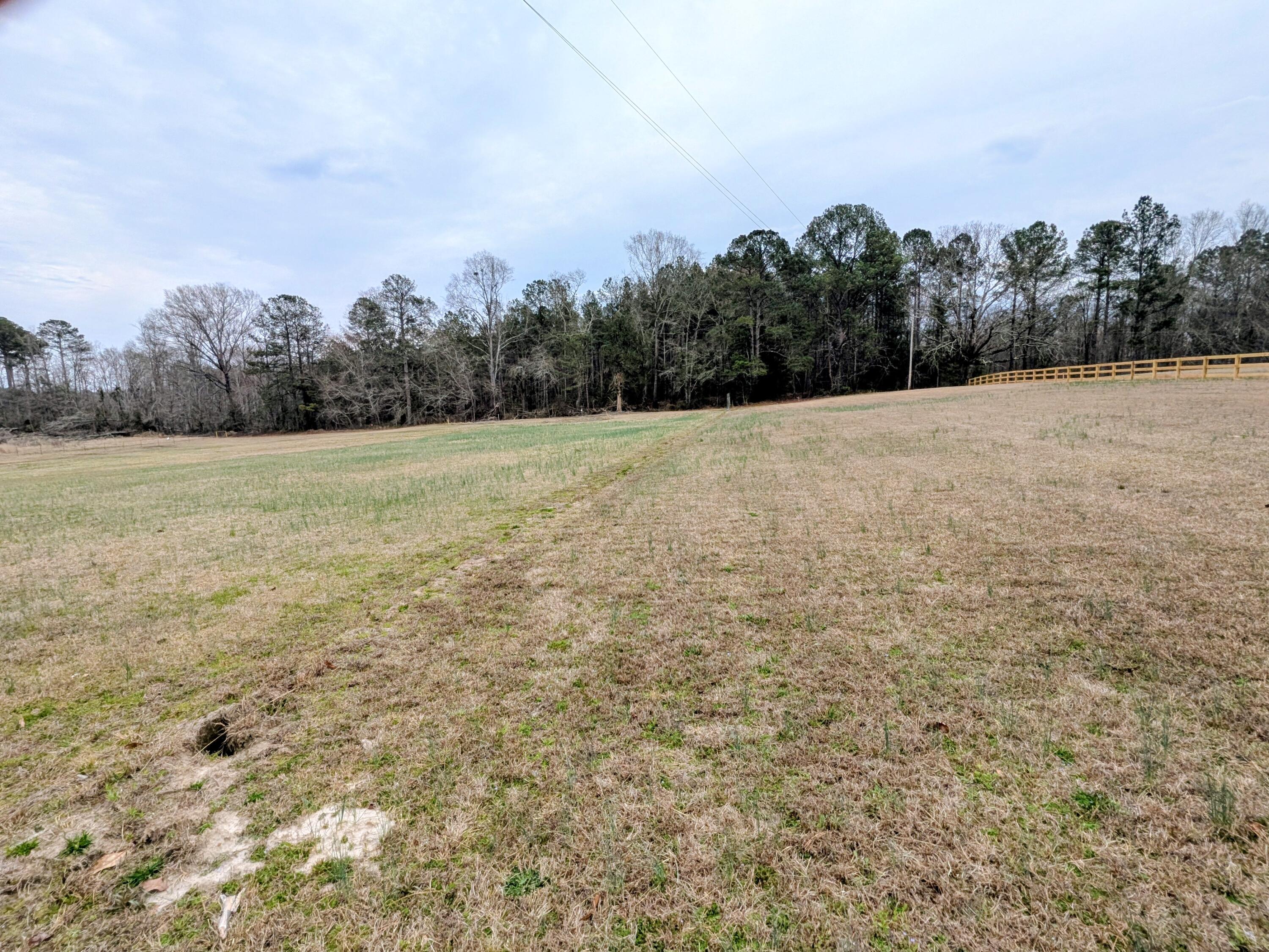 Tbd Tbd Sc-23 Edgefield, SC 29824 - Photo 12 of 19 PXL_20260225_212002374~2