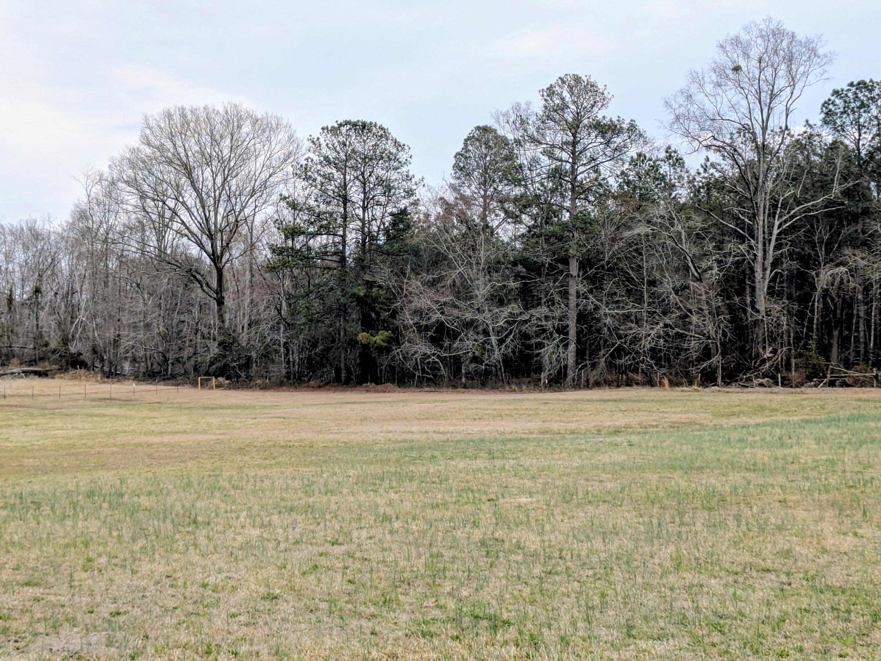 Tbd Tbd Sc-23 Edgefield, SC 29824 - Photo 14 of 19 PXL_20260225_212024466.MP~2