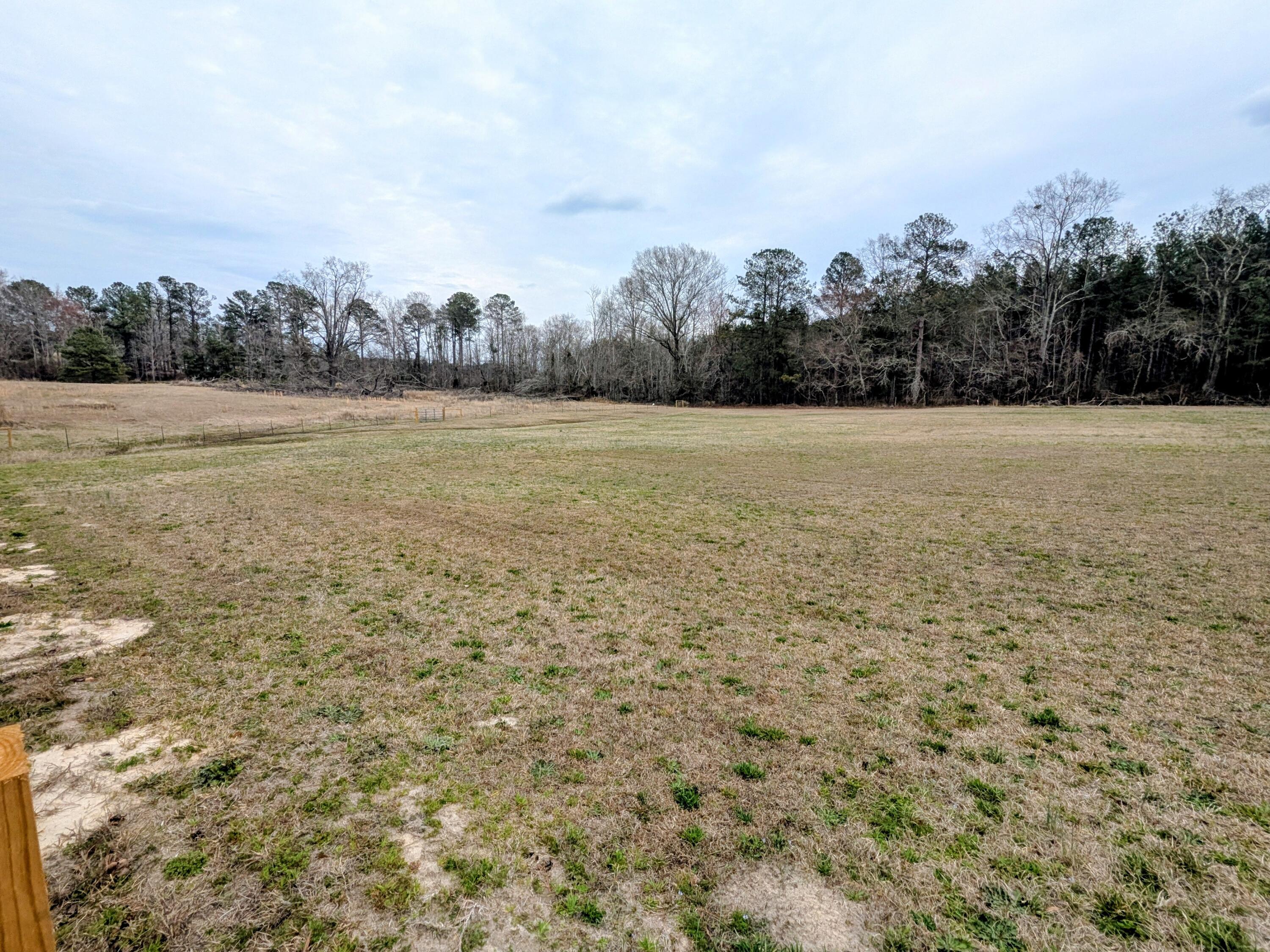 Tbd Tbd Sc-23 Edgefield, SC 29824 - Photo 17 of 19 PXL_20260225_212059112~2