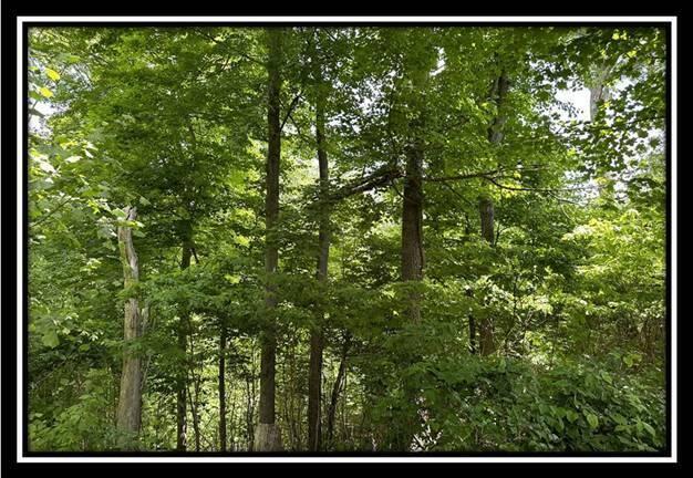 85 Weaver Road, Unit TRACT B) Chillicothe, OH 45601 - Photo 31 of 49 image030