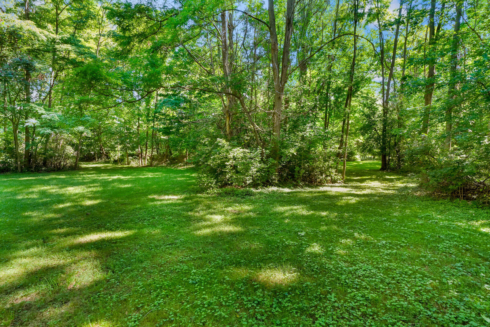 302 North Fulton Street Cassopolis, MI 49031 - Photo 12 of 56 302 N Fulton Street (31 of 55)