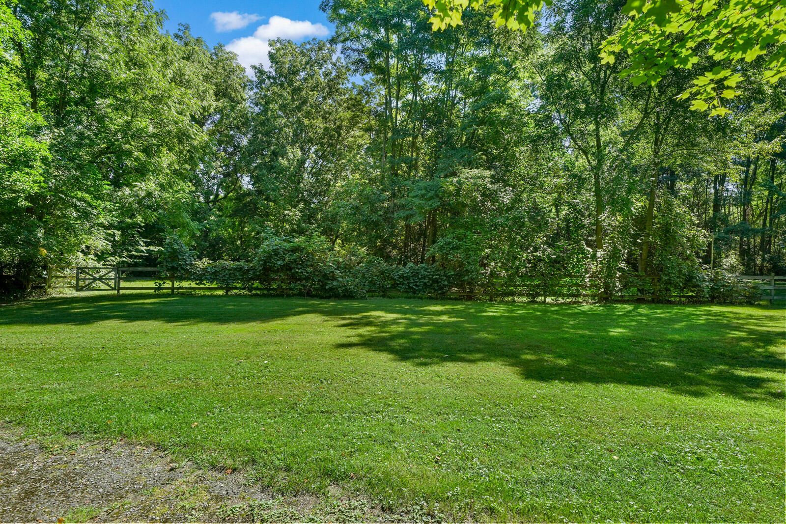 302 North Fulton Street Cassopolis, MI 49031 - Photo 39 of 56 302 N Fulton Street (28 of 55)