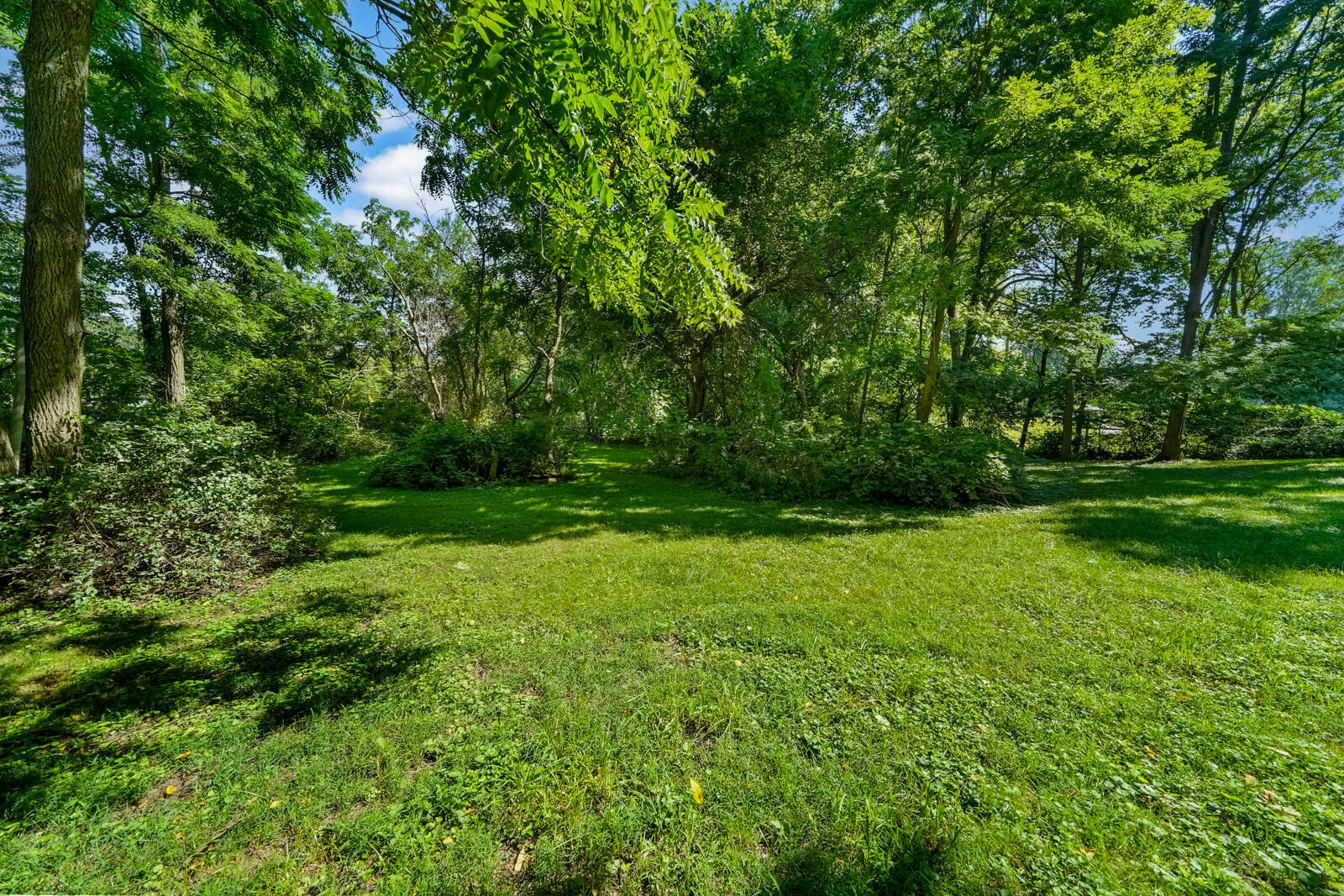 302 North Fulton Street Cassopolis, MI 49031 - Photo 45 of 56 302 N Fulton Street (37 of 55)