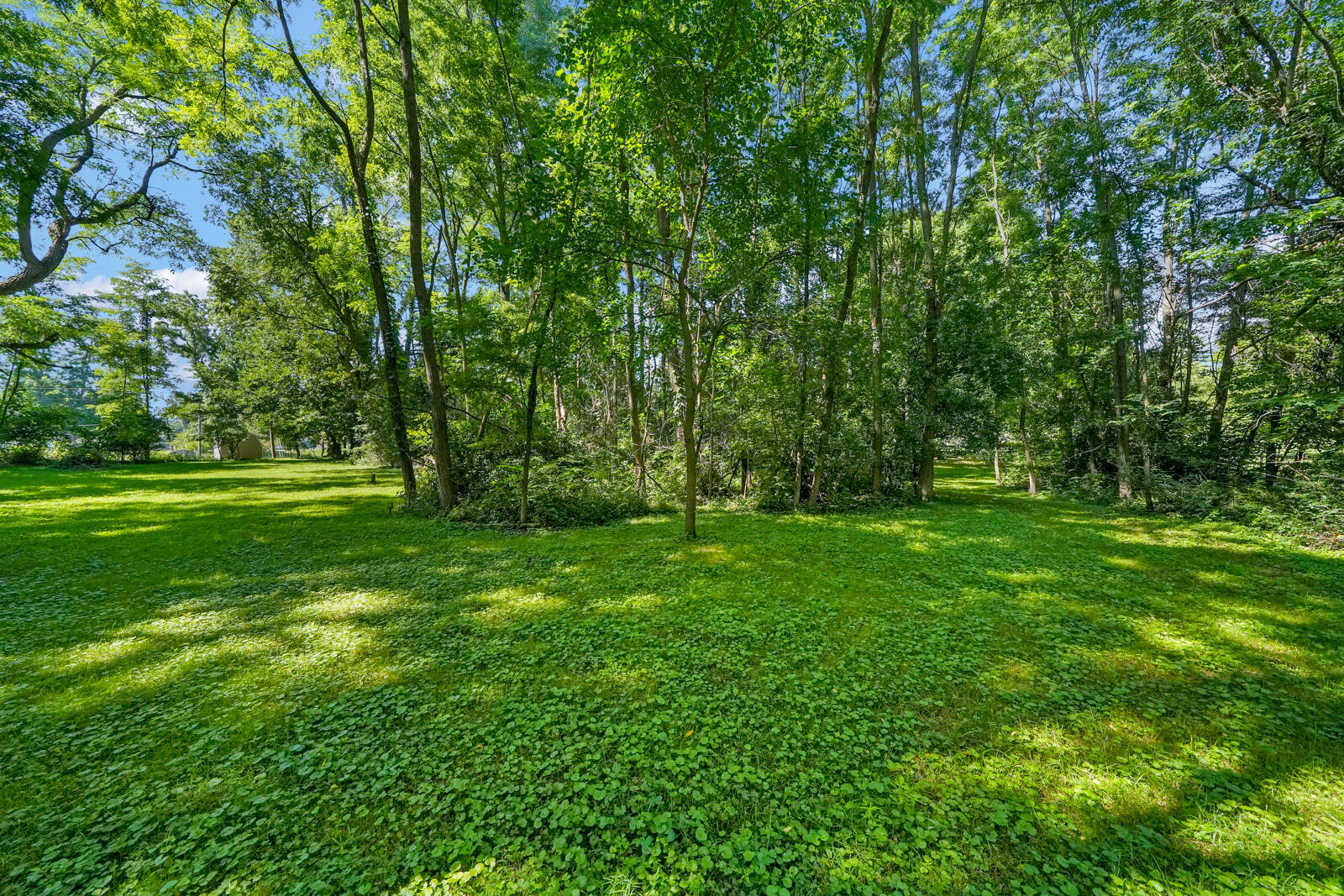 302 North Fulton Street Cassopolis, MI 49031 - Photo 48 of 56 302 N Fulton Street (40 of 55)