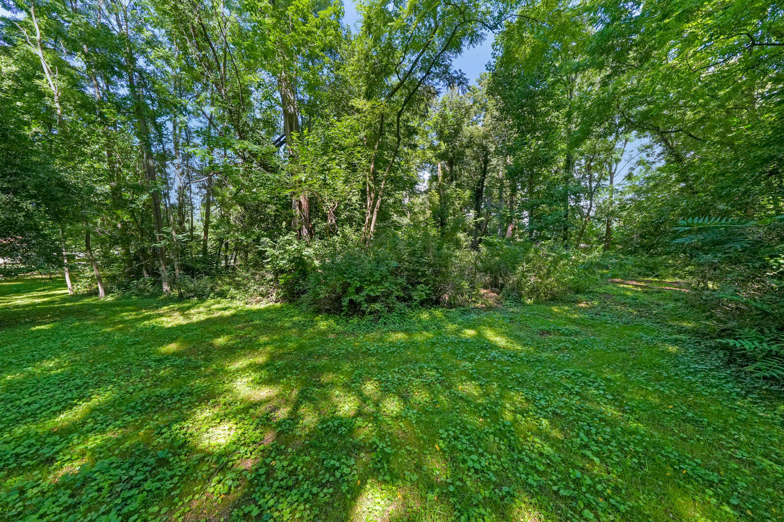 302 North Fulton Street Cassopolis, MI 49031 - Photo 49 of 56 302 N Fulton Street (41 of 55)