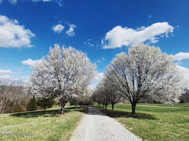 450 Pea Ridge Road Shelbyville, KY 40065 - Photo 87 of 90 IMG_2388