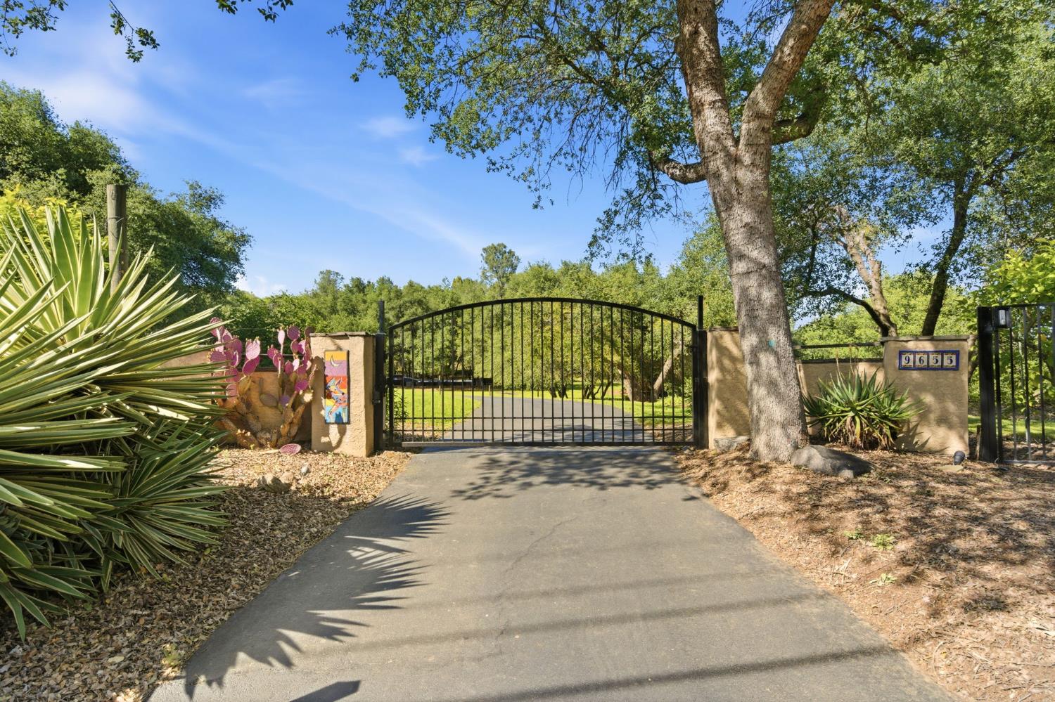 9655 Horseshoe Bar Road Loomis, CA 95650 - Photo 44 of 63