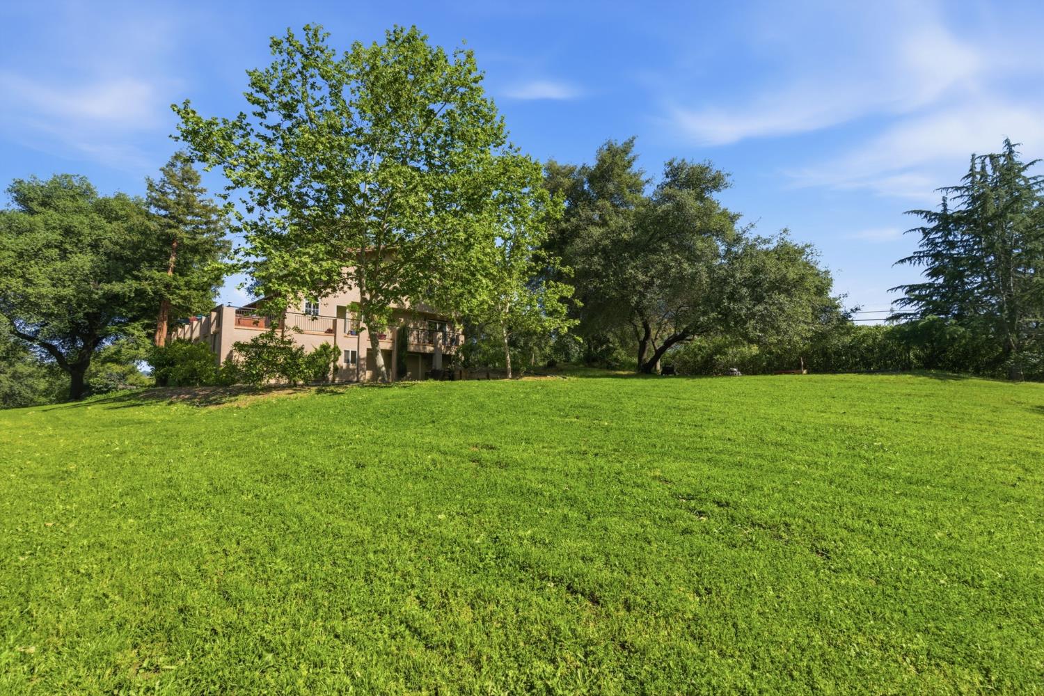 9655 Horseshoe Bar Road Loomis, CA 95650 - Photo 47 of 63