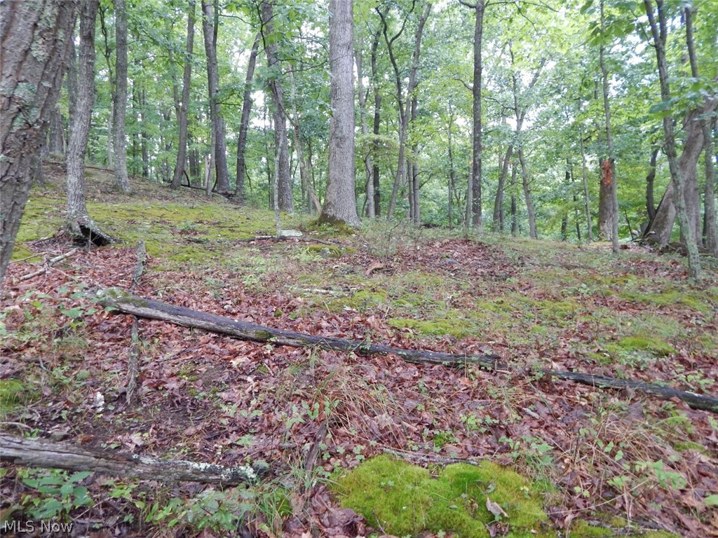 Isaac Run Road Harrisville, WV 26362 - Photo 17 of 20