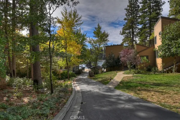 a view of a yard with plants and trees