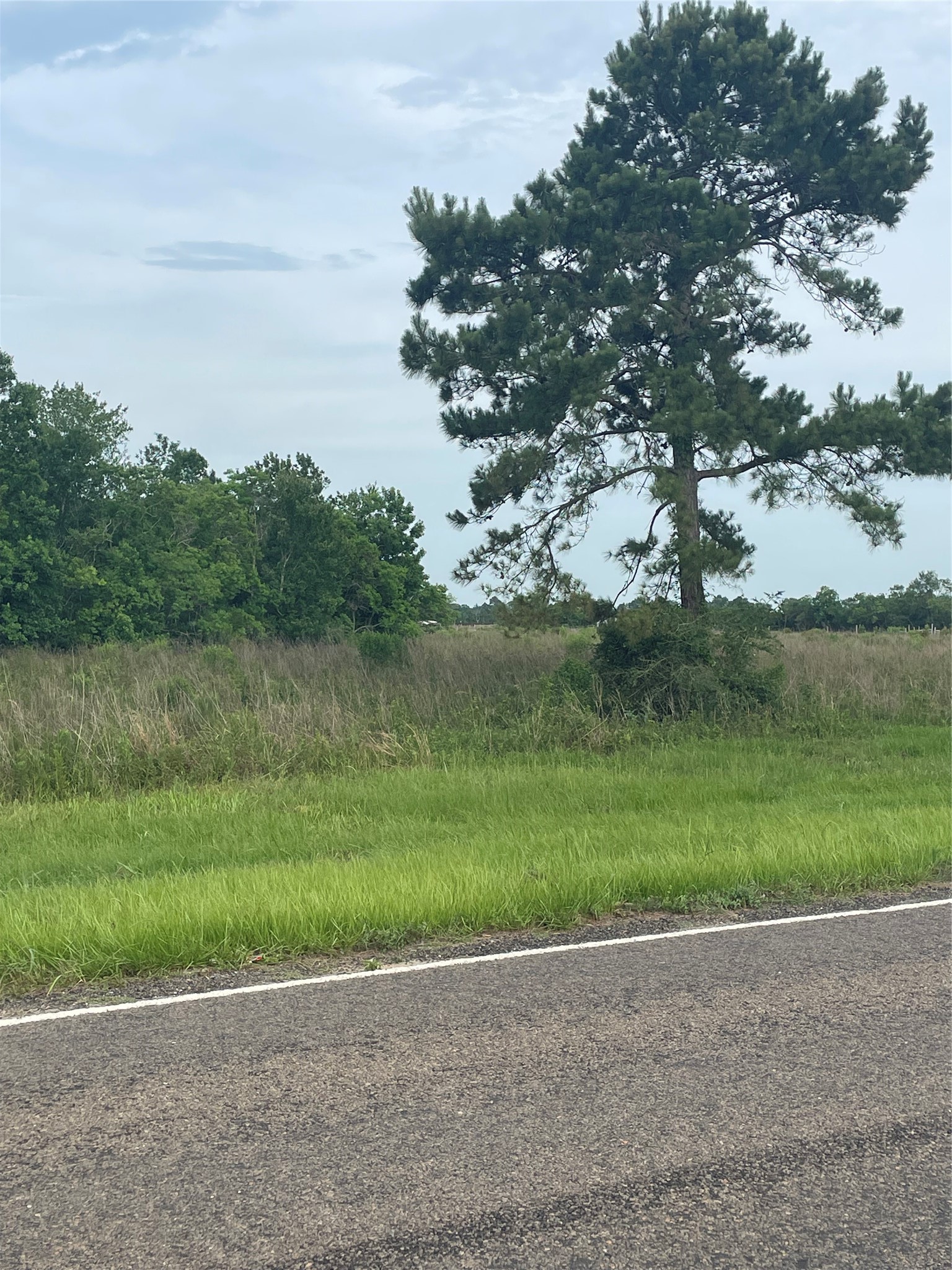 0 Fm 1909 Liberty, TX 77575 - Photo 2 of 5 a view of a lake from a yard