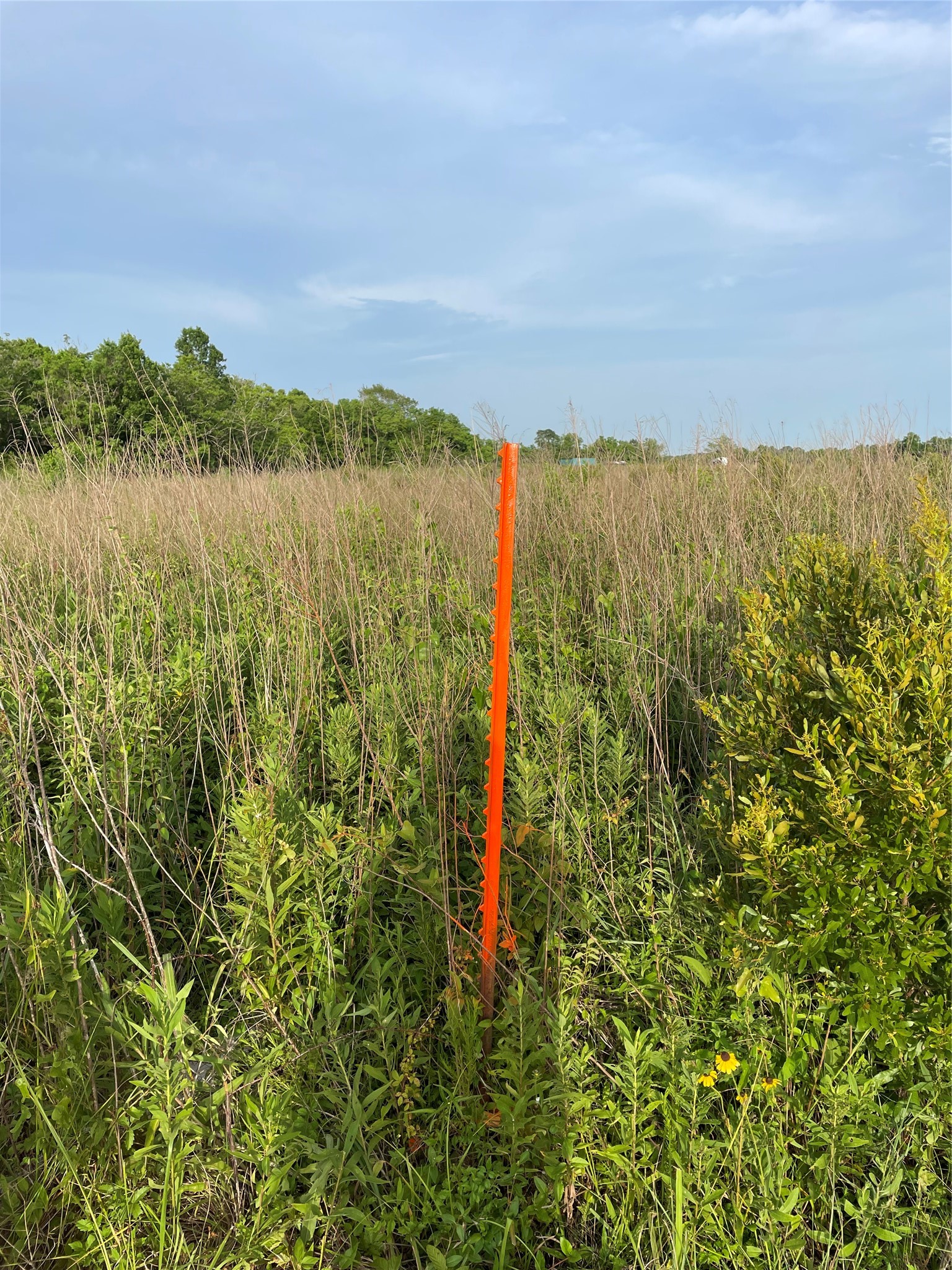 0 Fm 1909 Liberty, TX 77575 - Photo 3 of 5