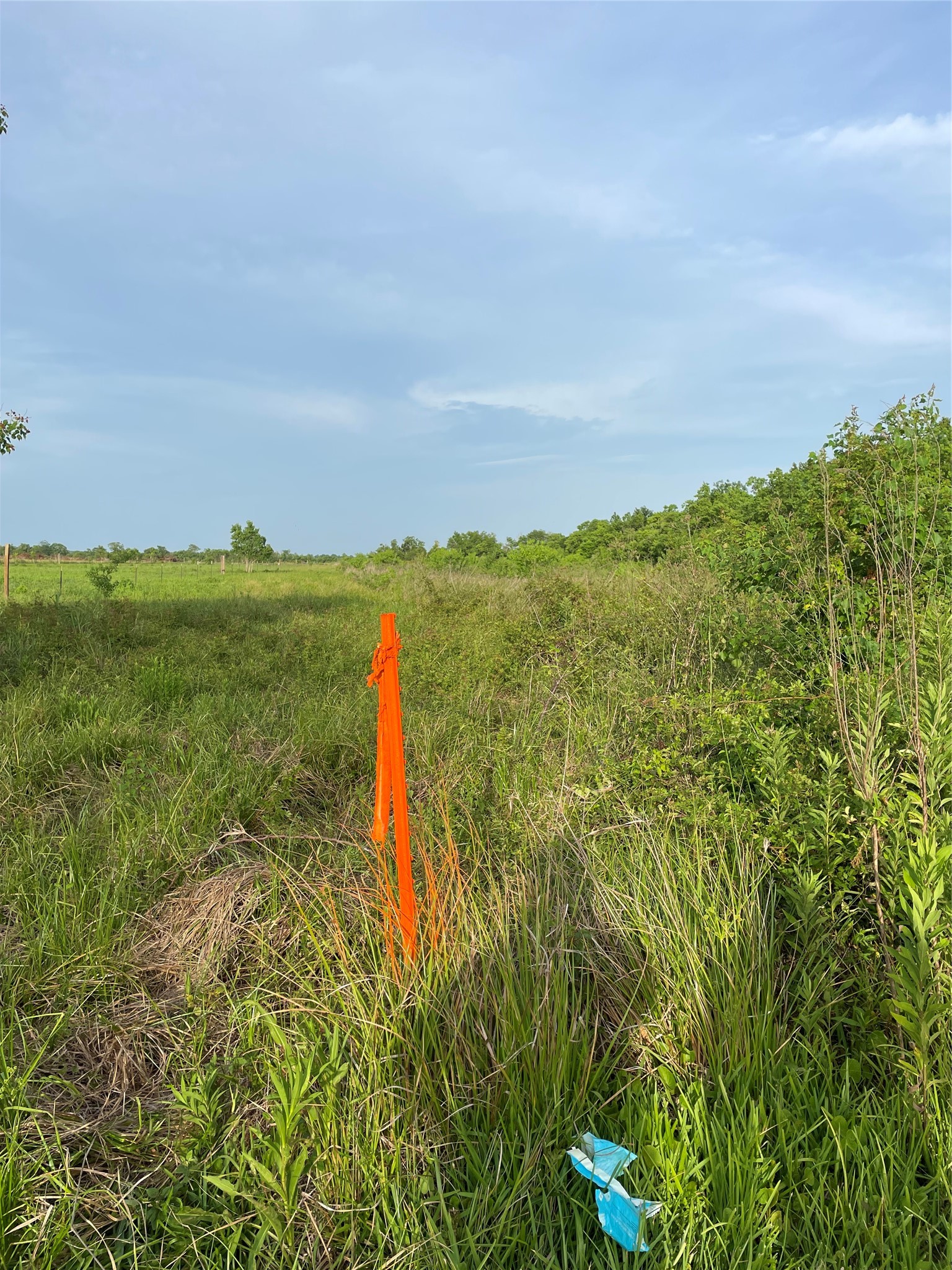 0 Fm 1909 Liberty, TX 77575 - Photo 4 of 5 a view of a lake with a yard