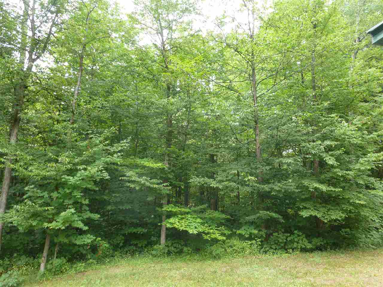 7780 Flynn Road Mancelona, MI 49659 - Photo 7 of 30 1877153-7.JPG