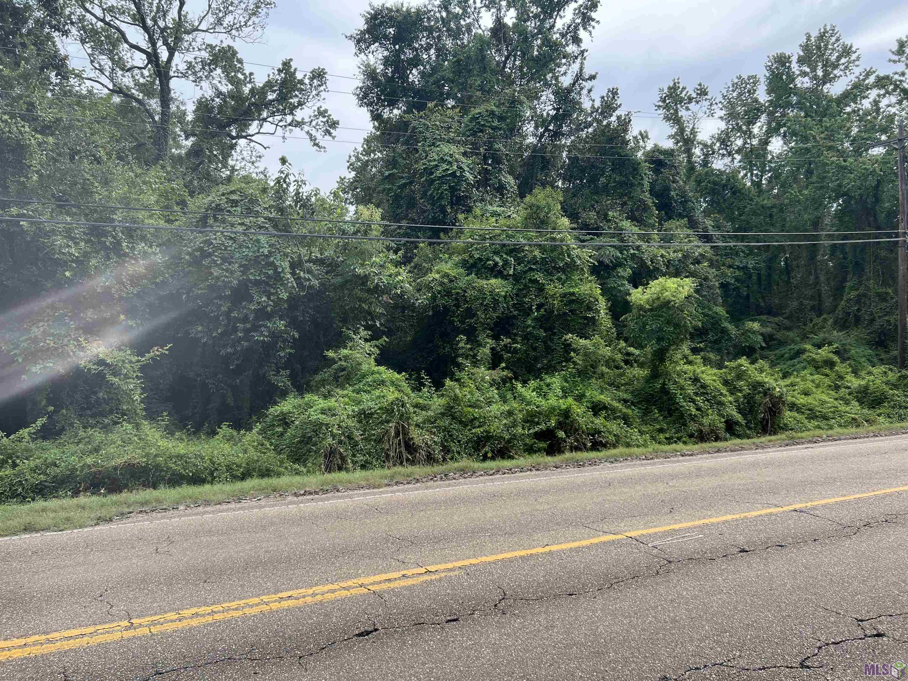 Tbd Thomas Road Baton Rouge, LA 70807 - Photo 6 of 8