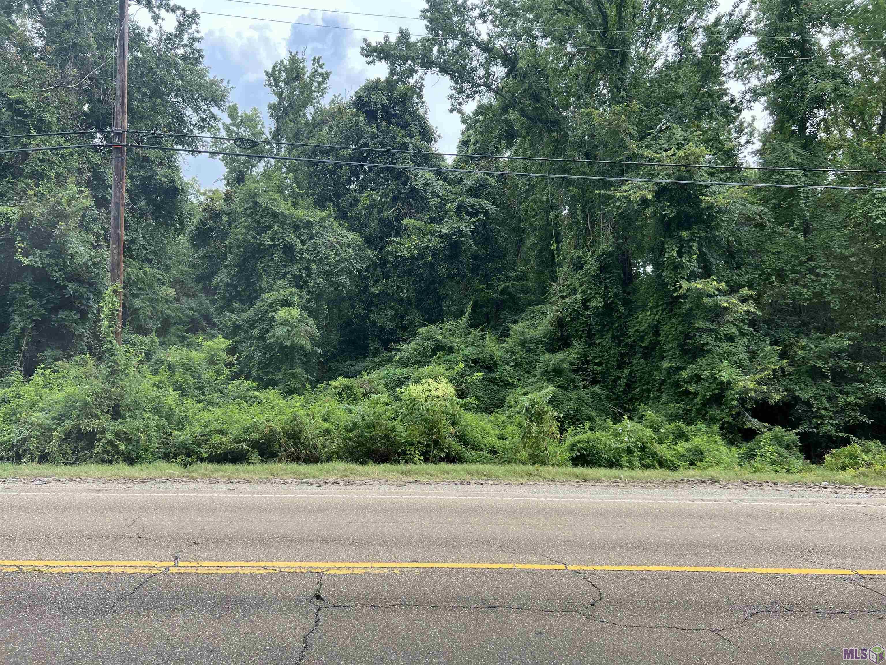 Tbd Thomas Road Baton Rouge, LA 70807 - Photo 7 of 8