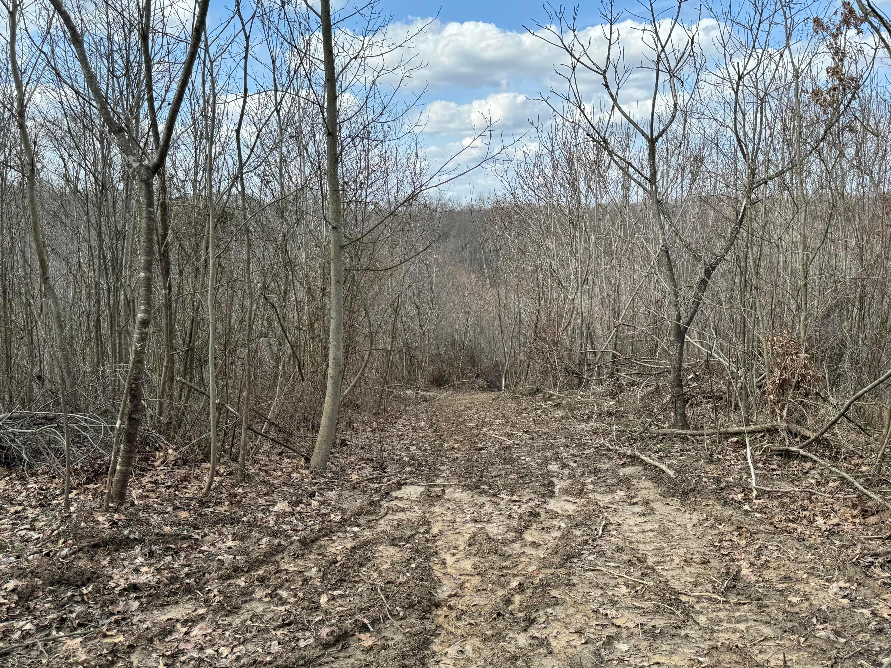0 Flint Ridge Road Northeast, Unit INT RIDGE TRACT 22 ACRE) Crooksville, OH 43731 - Photo 34 of 48 20240304_190914376_iOS