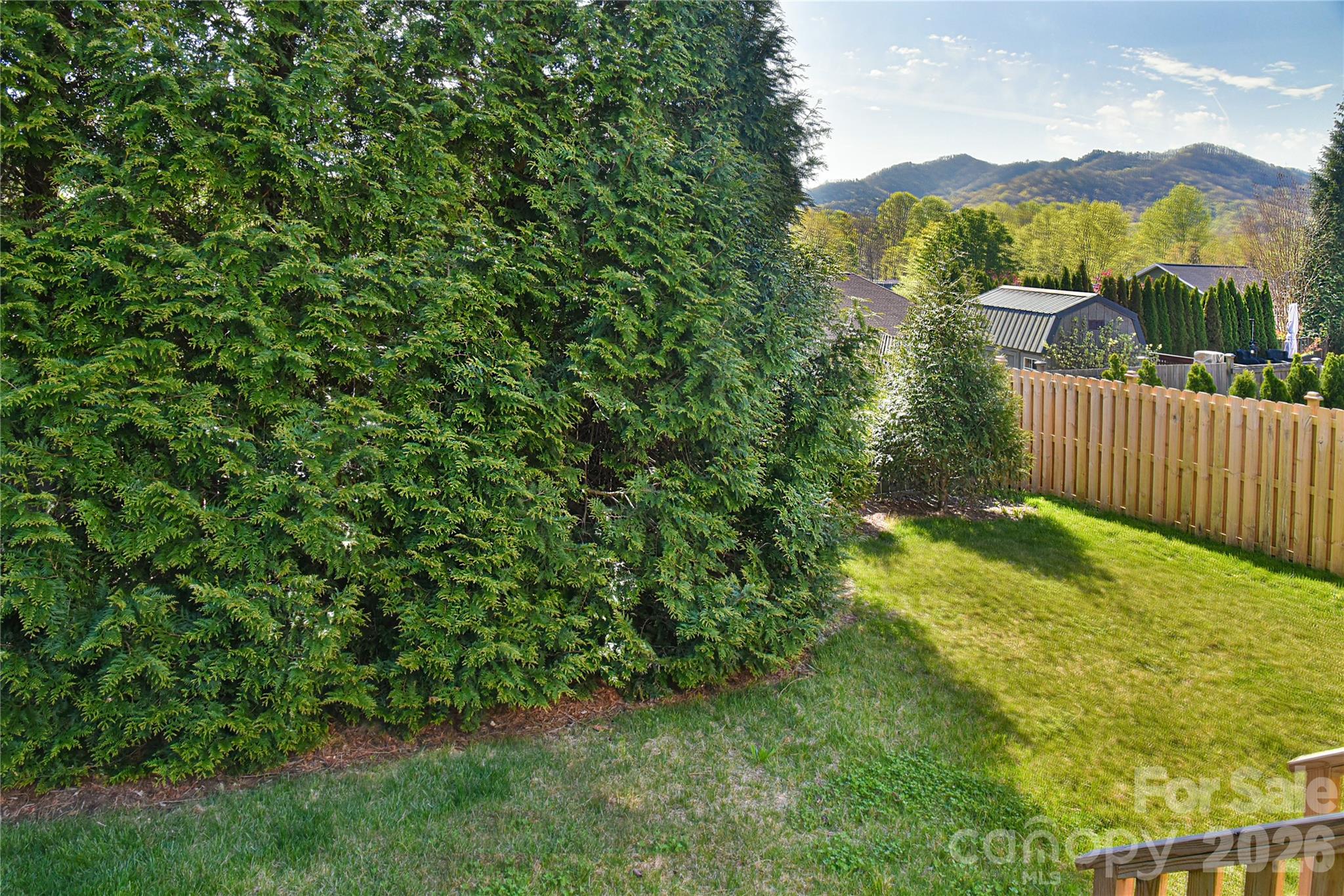 310 Portmanvilla Road Black Mountain, NC 28711 - Photo 14 of 30 a view of a lush green forest with mountain