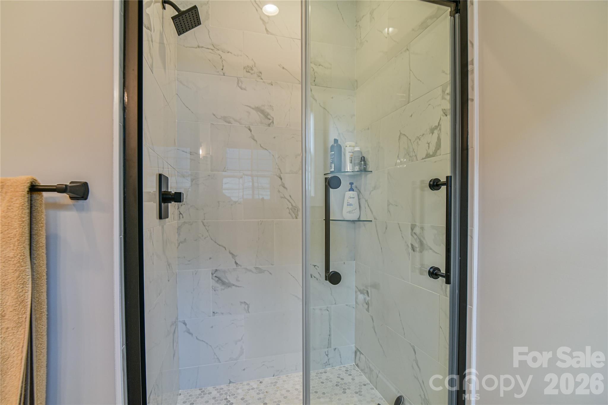 310 Portmanvilla Road Black Mountain, NC 28711 - Photo 19 of 30 a bathroom with a shower