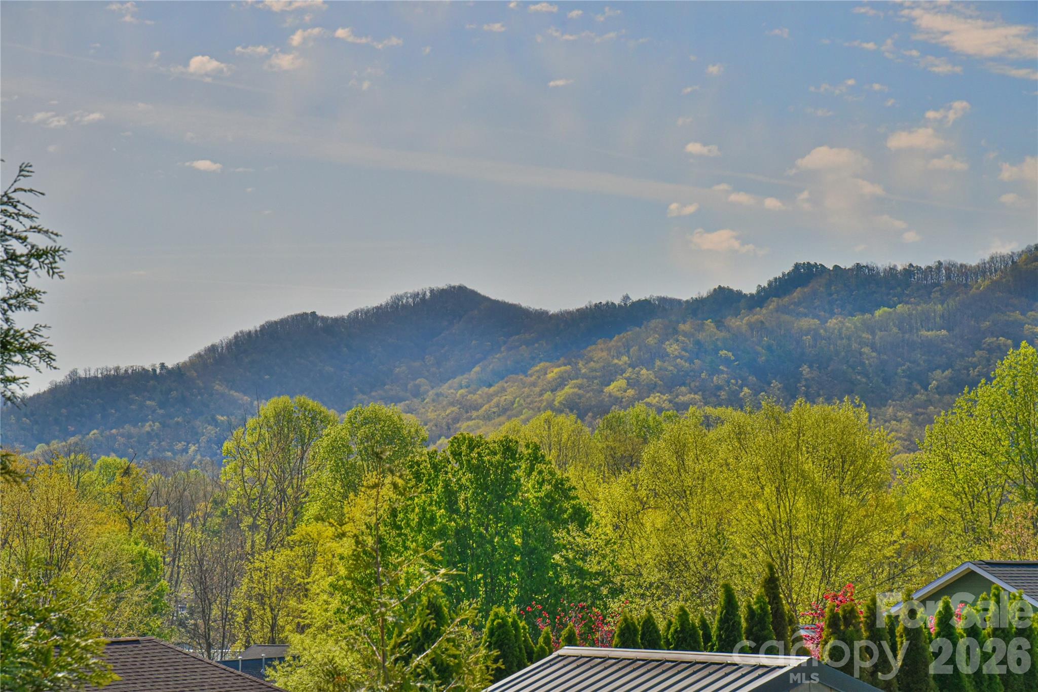310 Portmanvilla Road Black Mountain, NC 28711 - Photo 4 of 30 a view of a city with mountains in the background