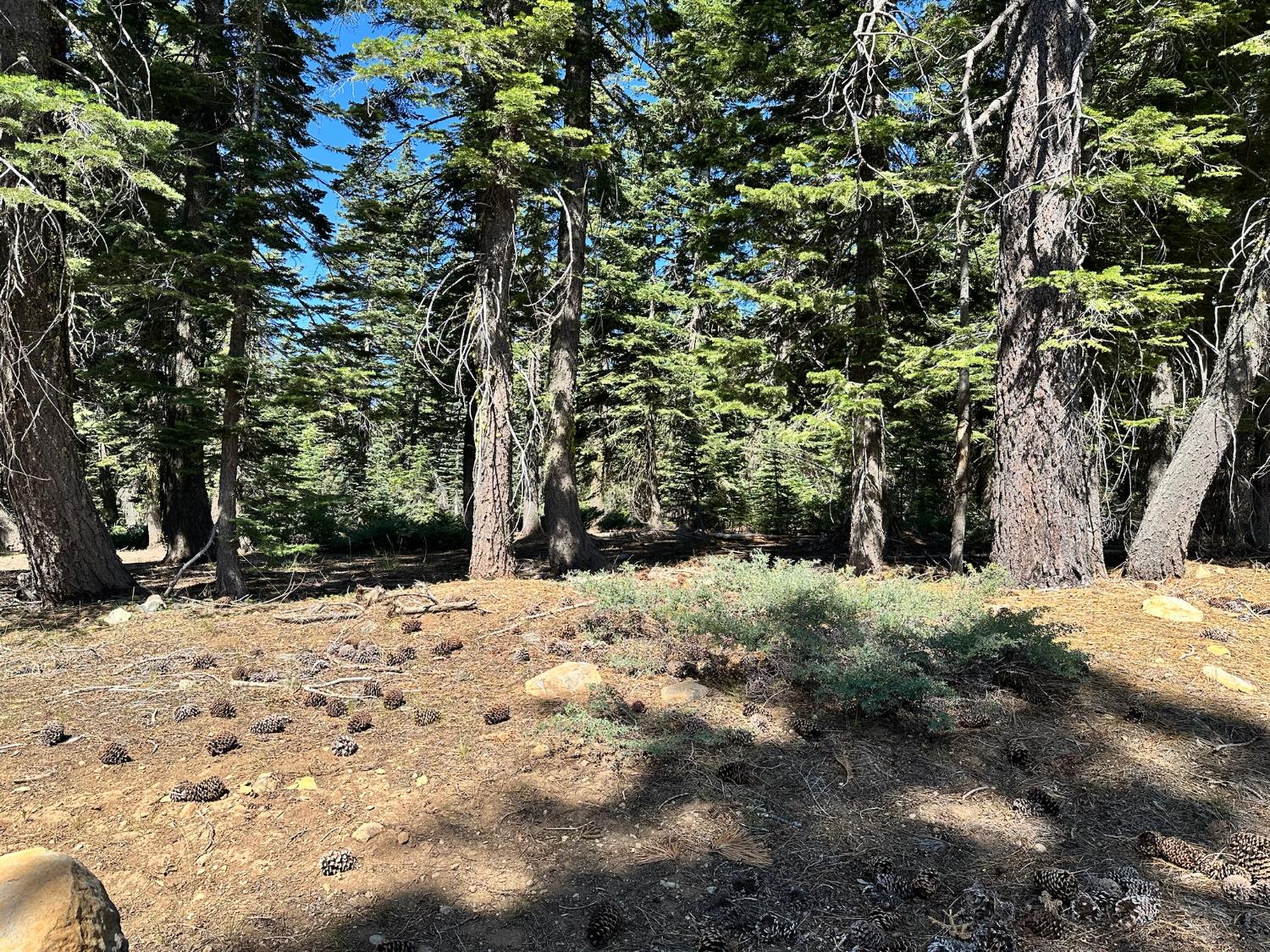 19611 Marsh Mill Road Nevada City, CA 95959 - Photo 19 of 32