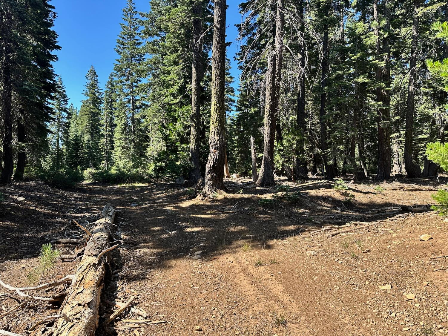 19611 Marsh Mill Road Nevada City, CA 95959 - Photo 21 of 32