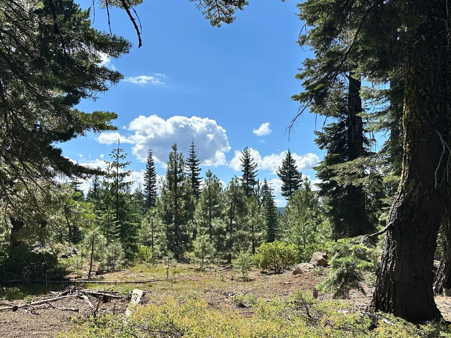 19611 Marsh Mill Road Nevada City, CA 95959 - Photo 24 of 32