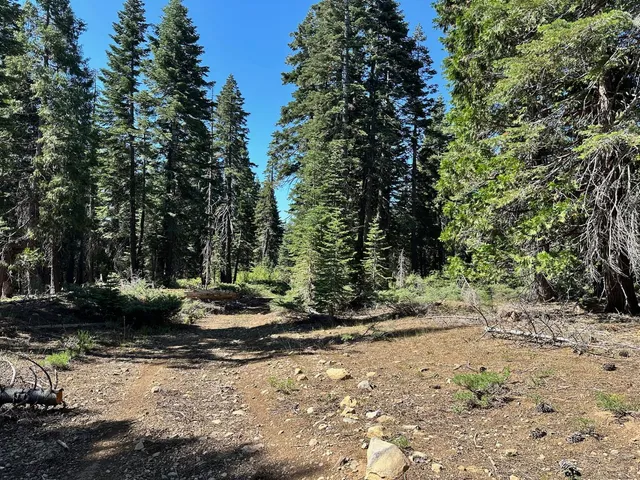 a view of a lake from a yard