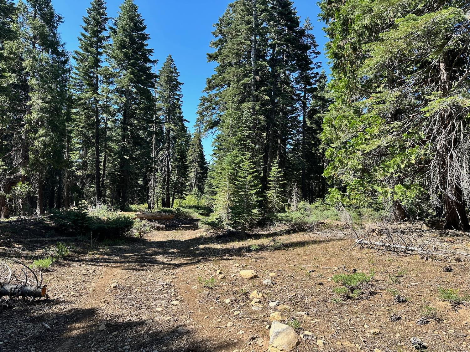 19611 Marsh Mill Road Nevada City, CA 95959 - Photo 25 of 32