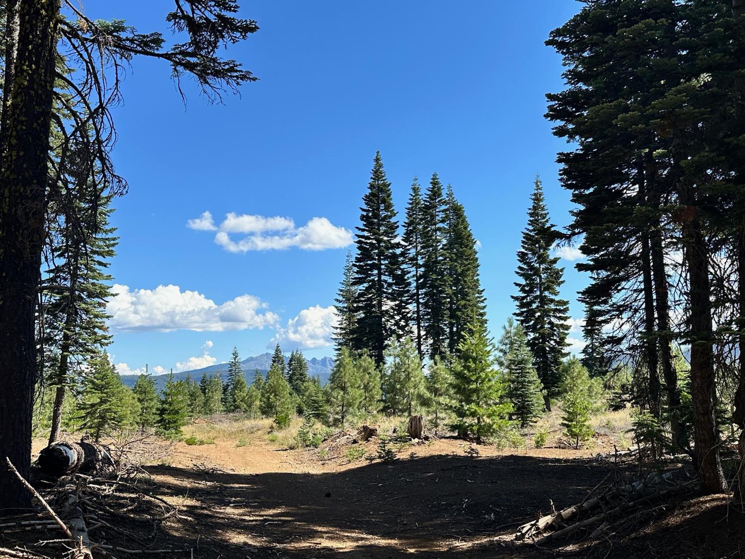 19611 Marsh Mill Road Nevada City, CA 95959 - Photo 26 of 32