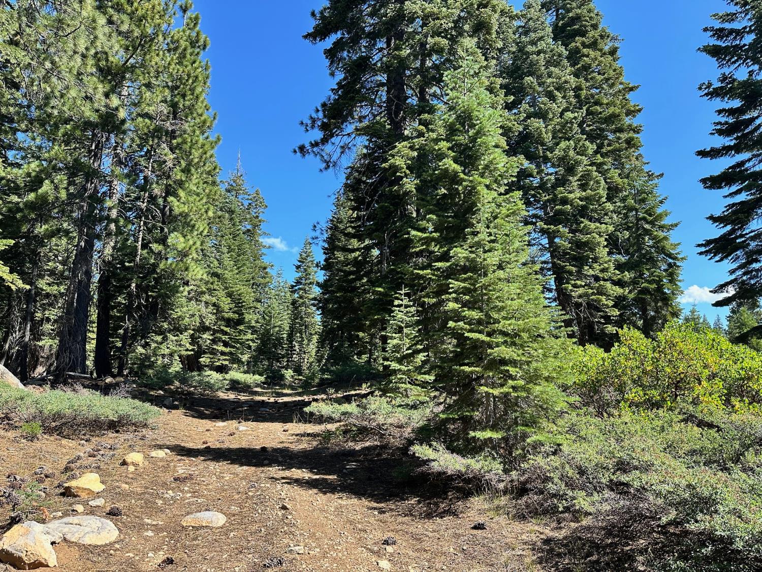 19611 Marsh Mill Road Nevada City, CA 95959 - Photo 27 of 32