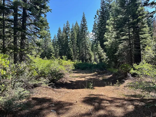 a view of street with trees