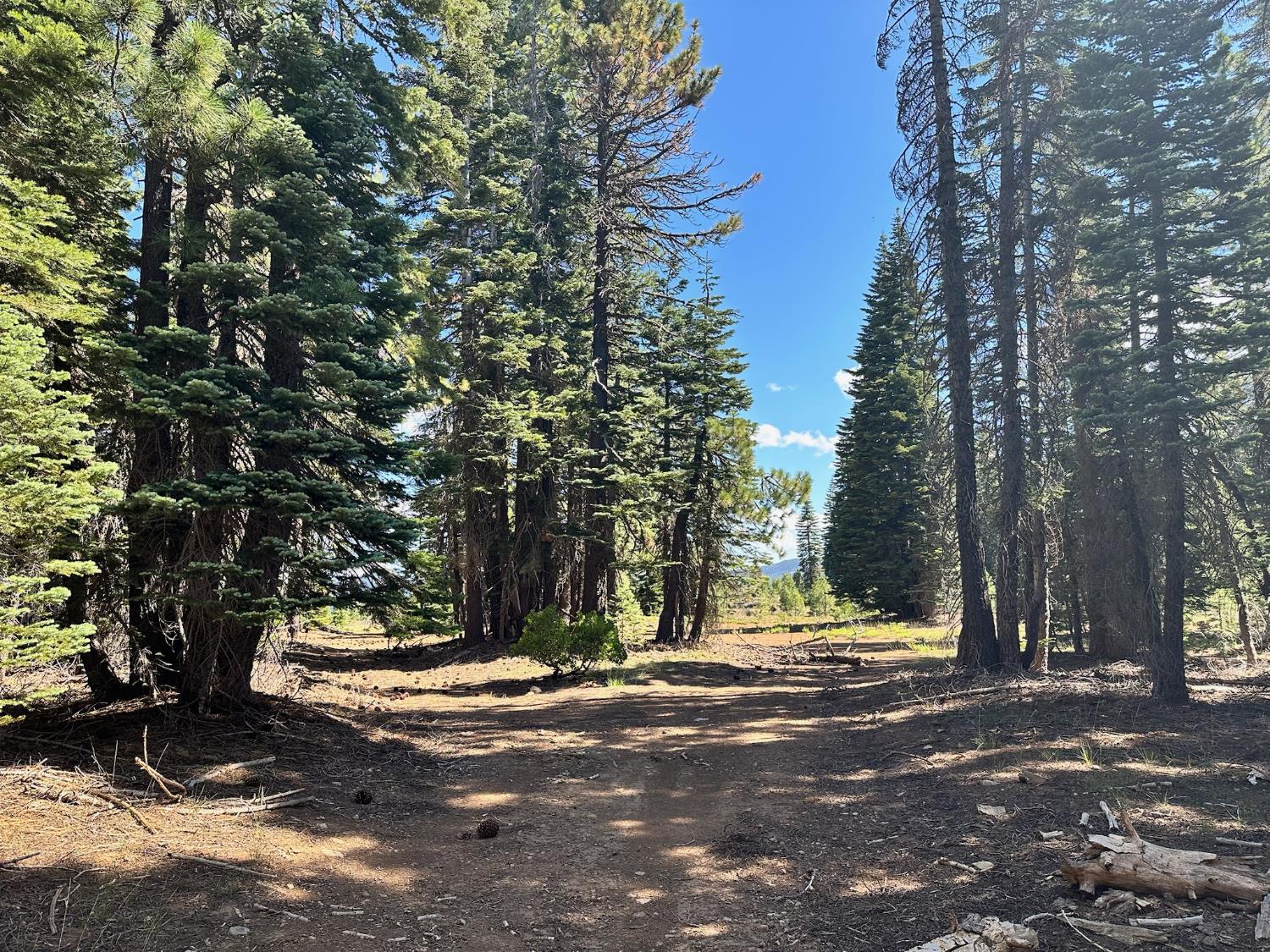 19611 Marsh Mill Road Nevada City, CA 95959 - Photo 29 of 32