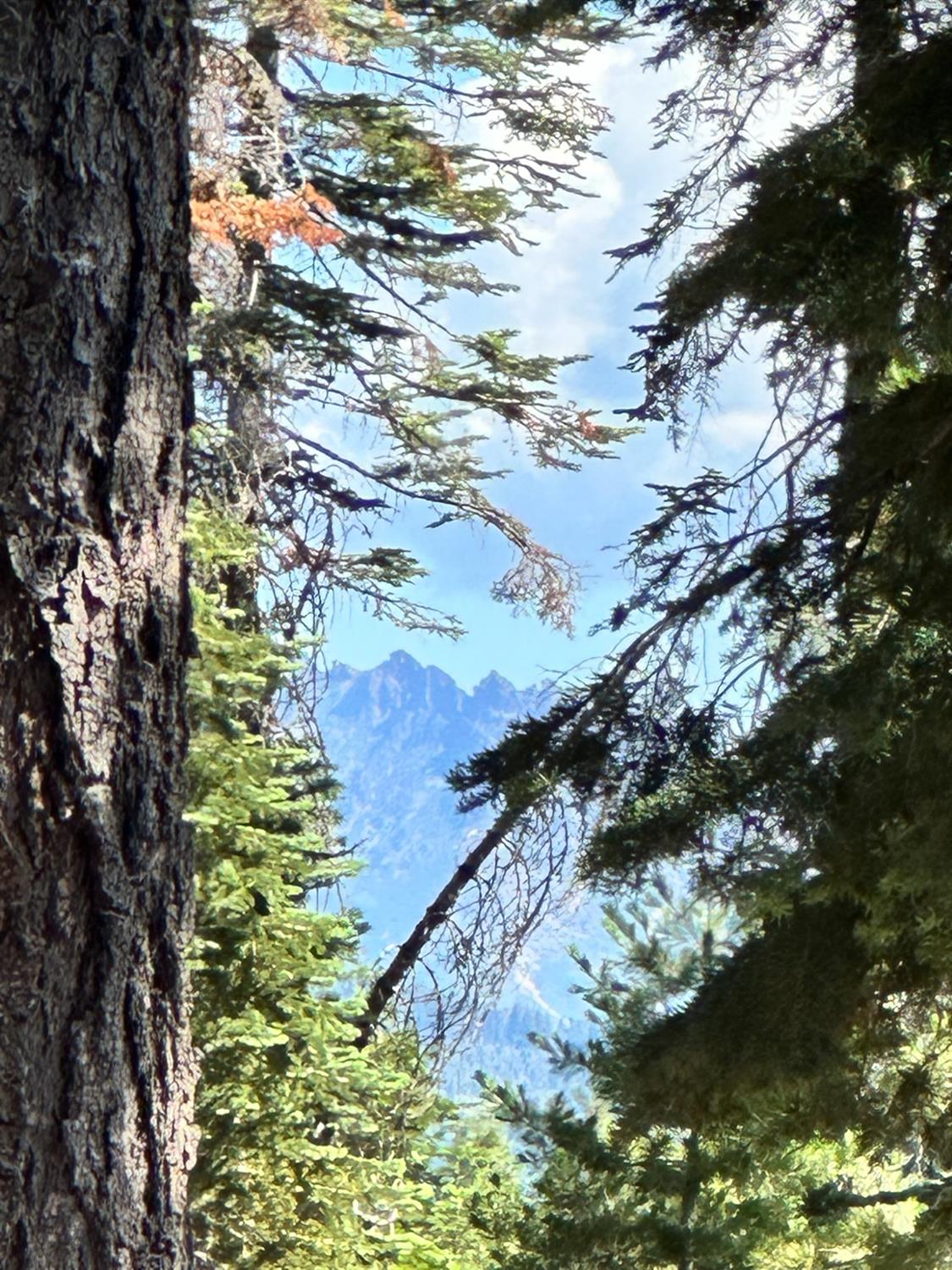 19611 Marsh Mill Road Nevada City, CA 95959 - Photo 30 of 32