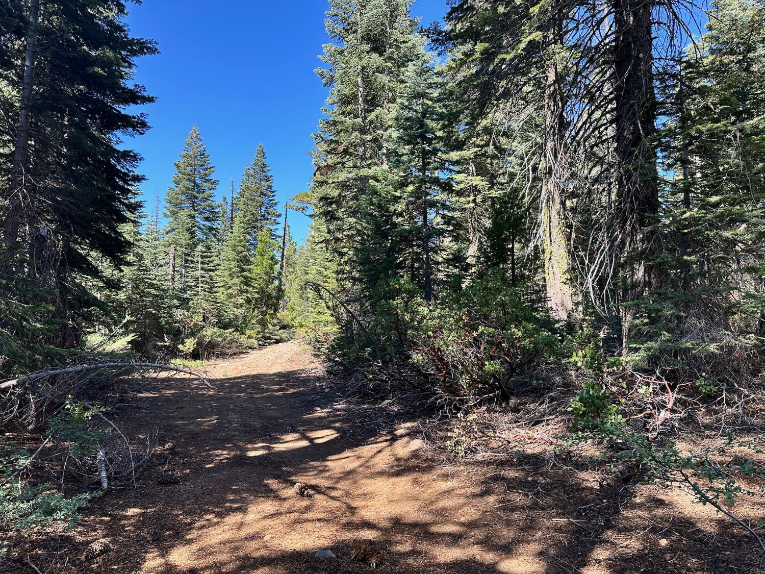 19611 Marsh Mill Road Nevada City, CA 95959 - Photo 7 of 32