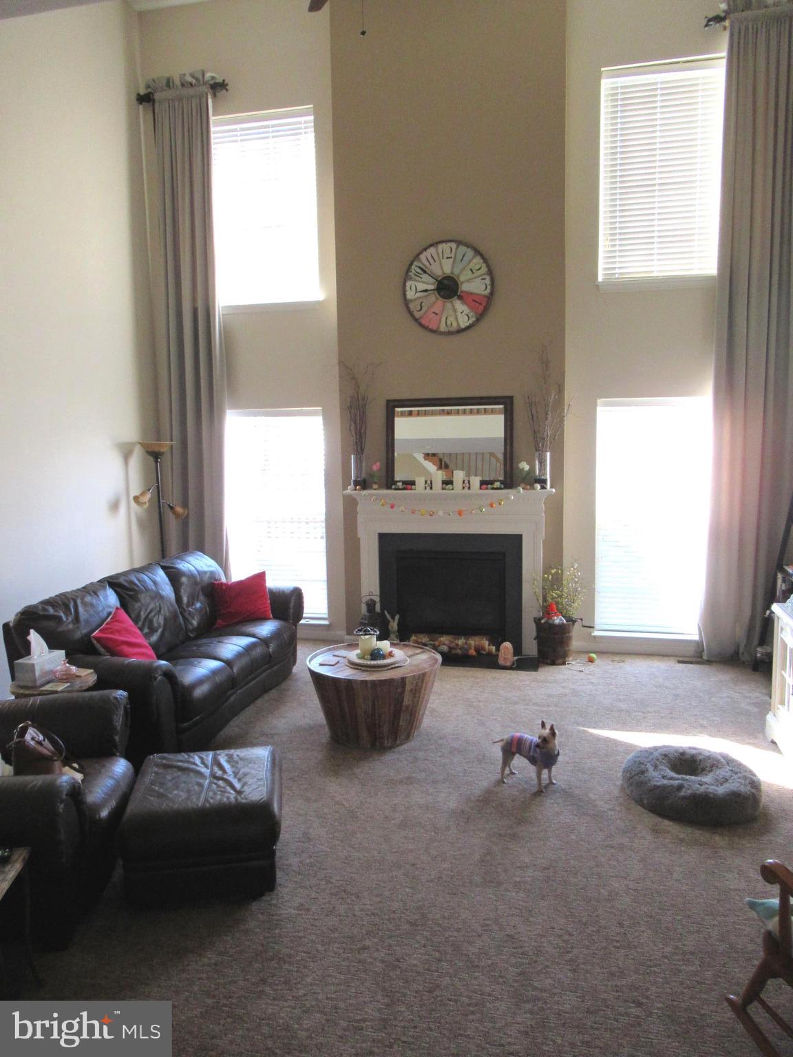 49 Riggs Road Fredericksburg, VA 22405 - Photo 18 of 58 Gallery Image 18