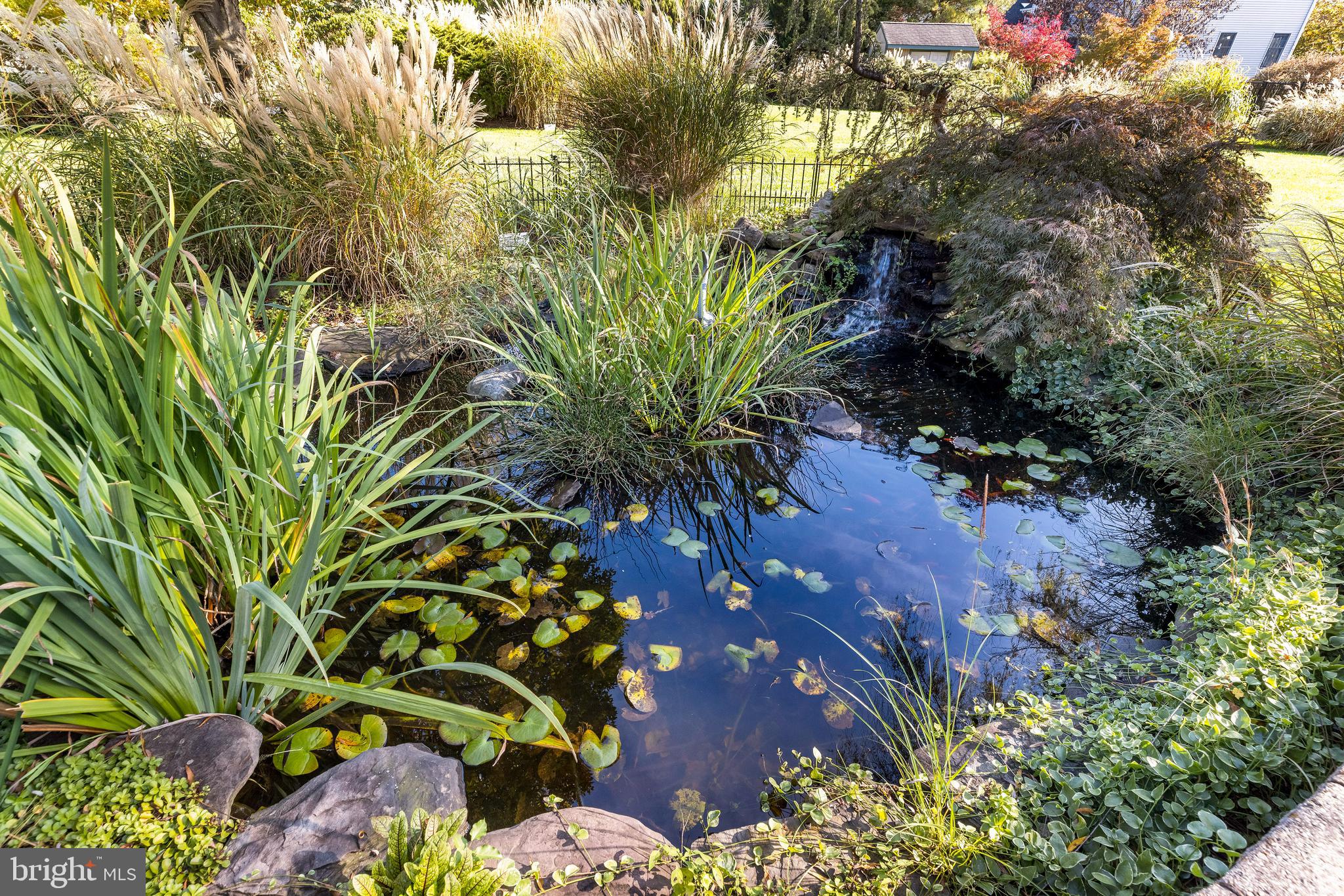 11 Stanwyck Road Mount Laurel, NJ 08054 - Photo 28 of 49 Koi Pond