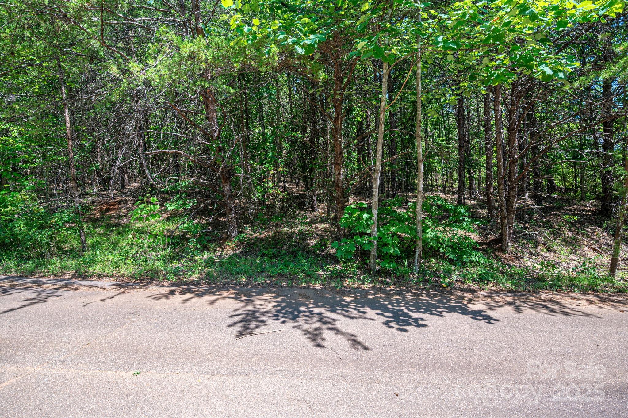 Lot 10 Meadow Crossing Drive Rutherfordton, NC 28139 - Photo 9 of 10 a view of a road with plants and a large trees