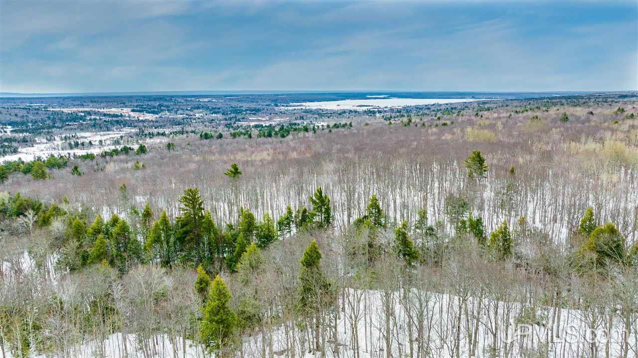 Tbd Gas Plant Road Calumet, MI 49913 - Photo 21 of 30