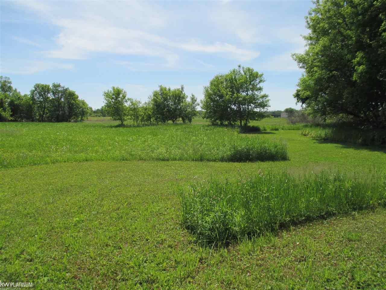 Parcel G State Road Fort Gratiot, MI 48059 - Photo 3 of 13